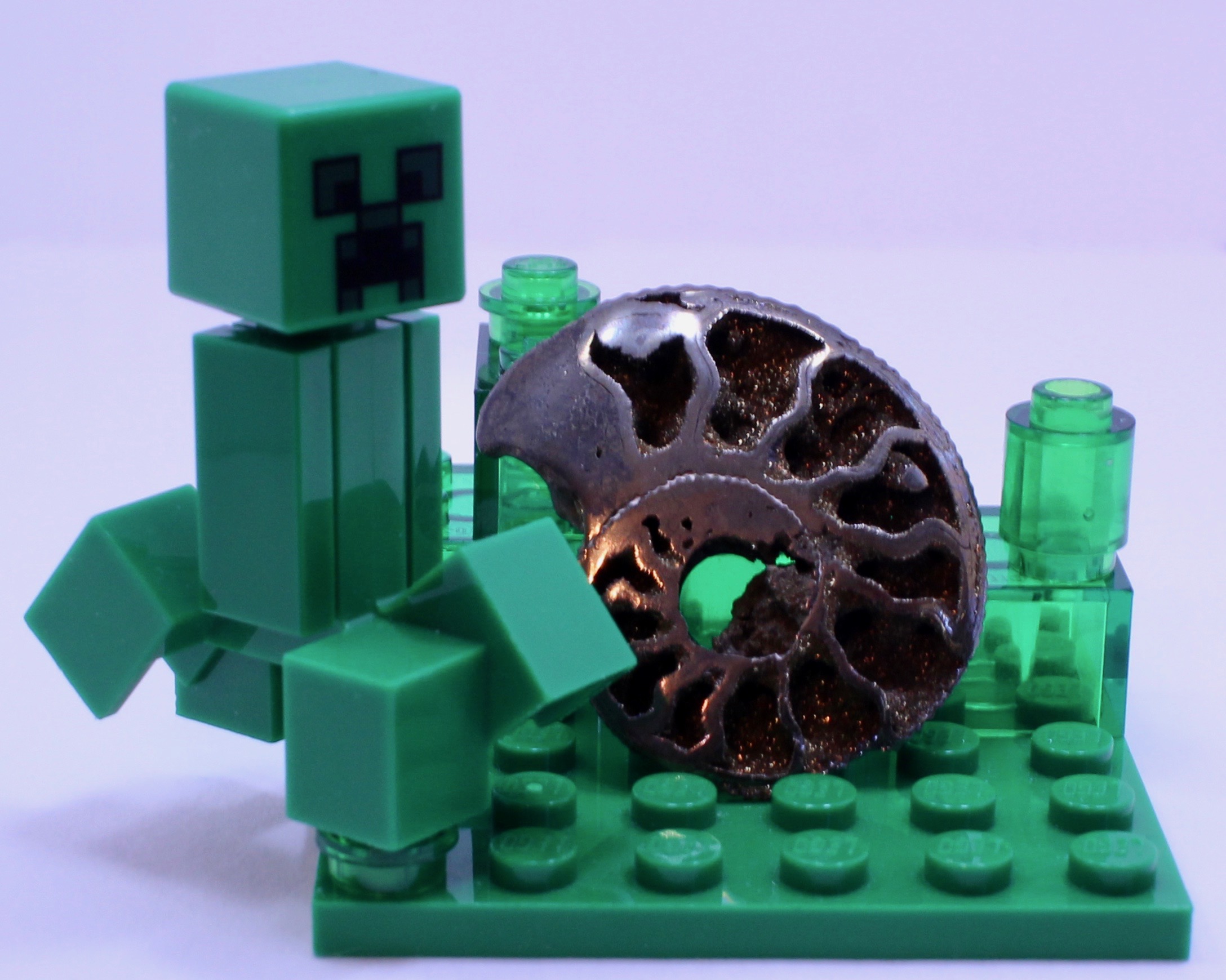 Pyritized Ammonite Fossil A pyritized ammonite fossil.